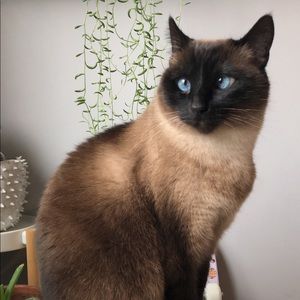 Meet your Posher, Chloe